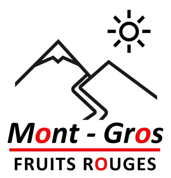 Mes produits