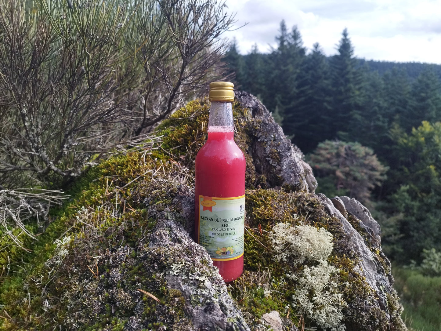 Nectar de fruits rouges BIO