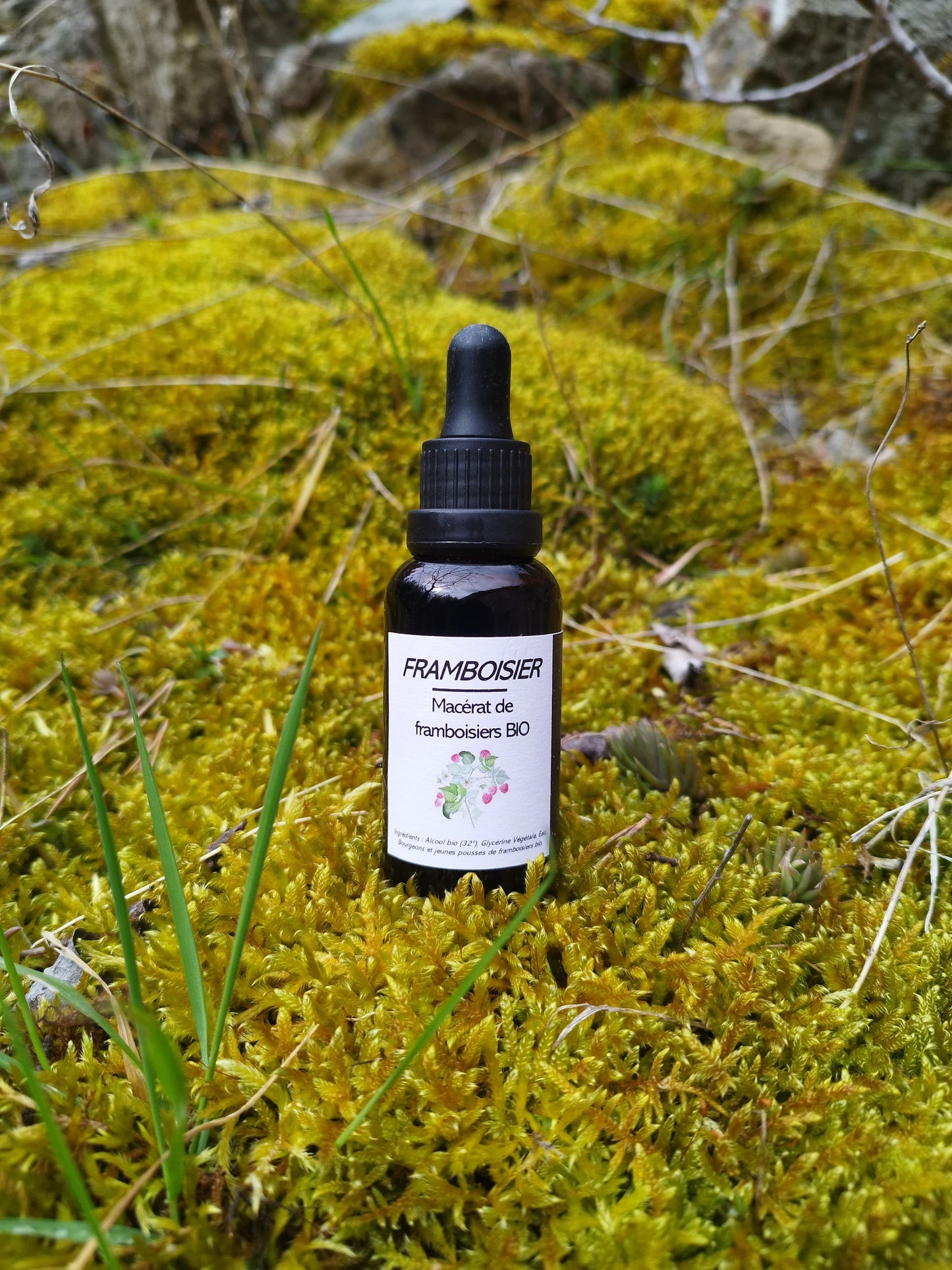 Gemmothérapie de framboisier BIO (Rubus idaeus) 30ml