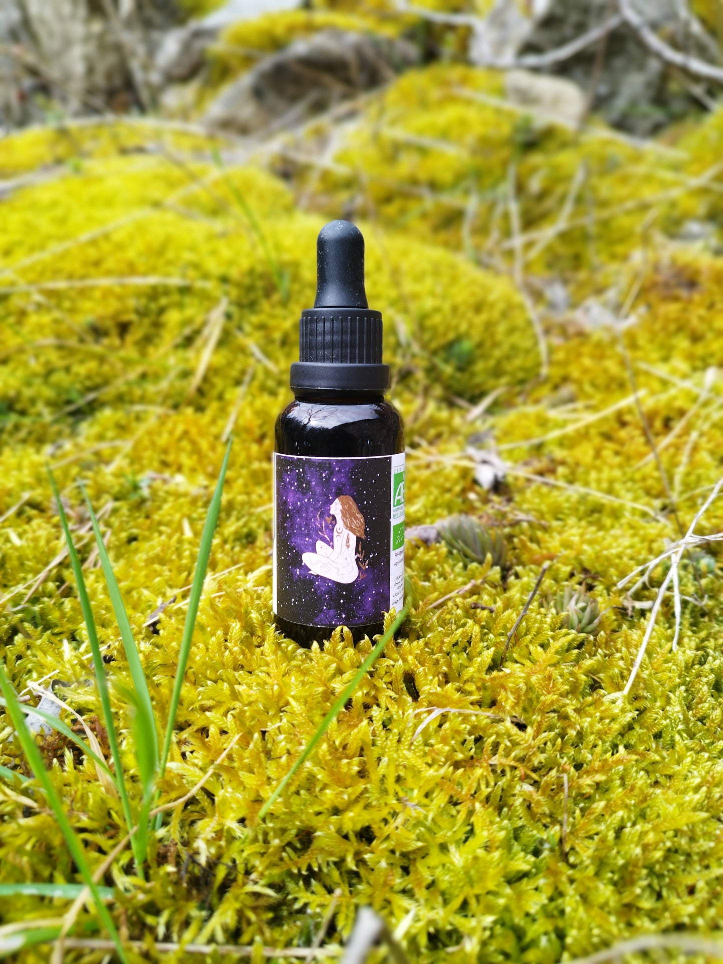Gemmothérapie de framboisier BIO (Rubus idaeus) 30ml
