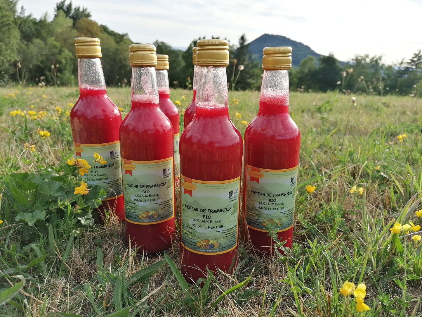 Nectar de framboise BIO