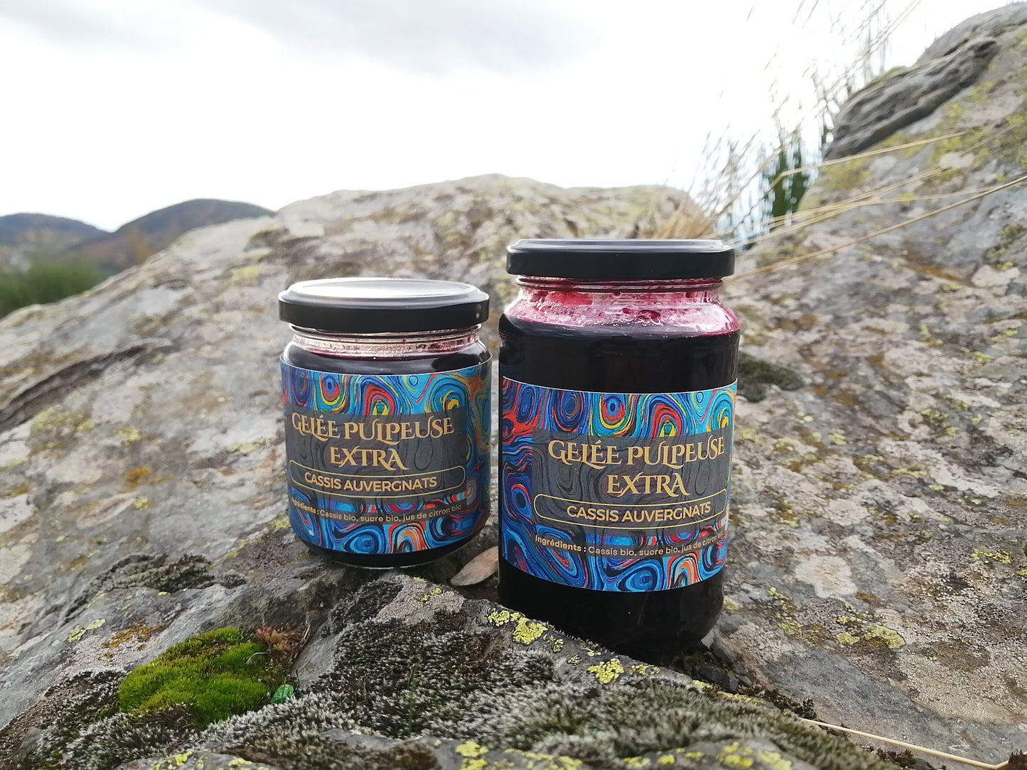 Gelée pulpeuse de cassis BIO - Petit pot