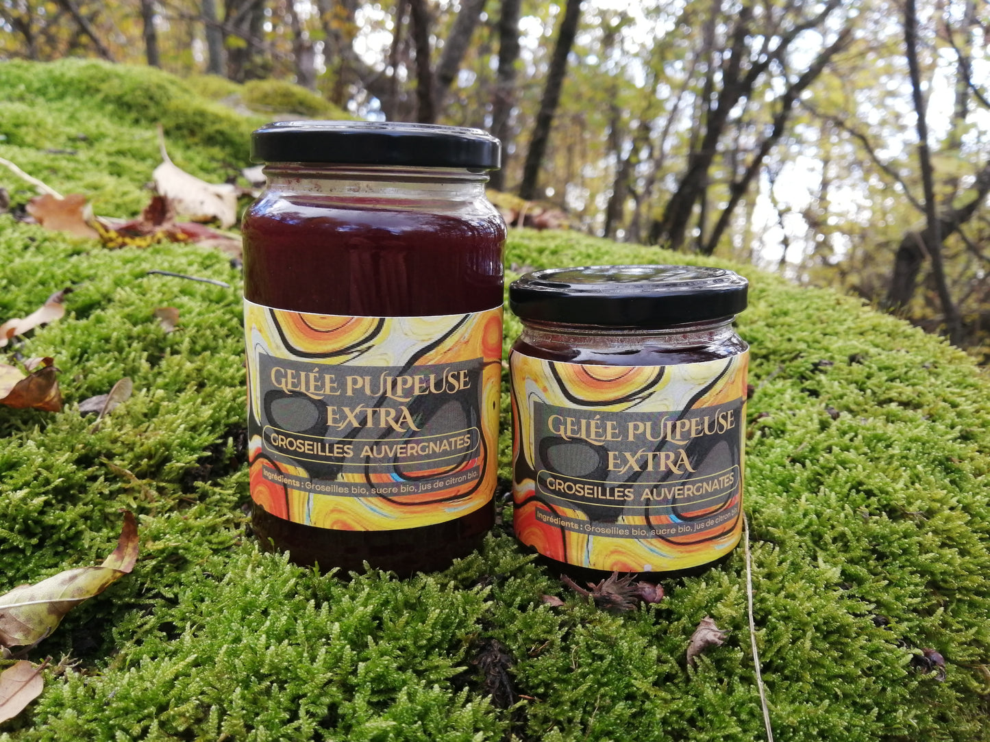 Gelée pulpeuse de groseille BIO - Petit pot