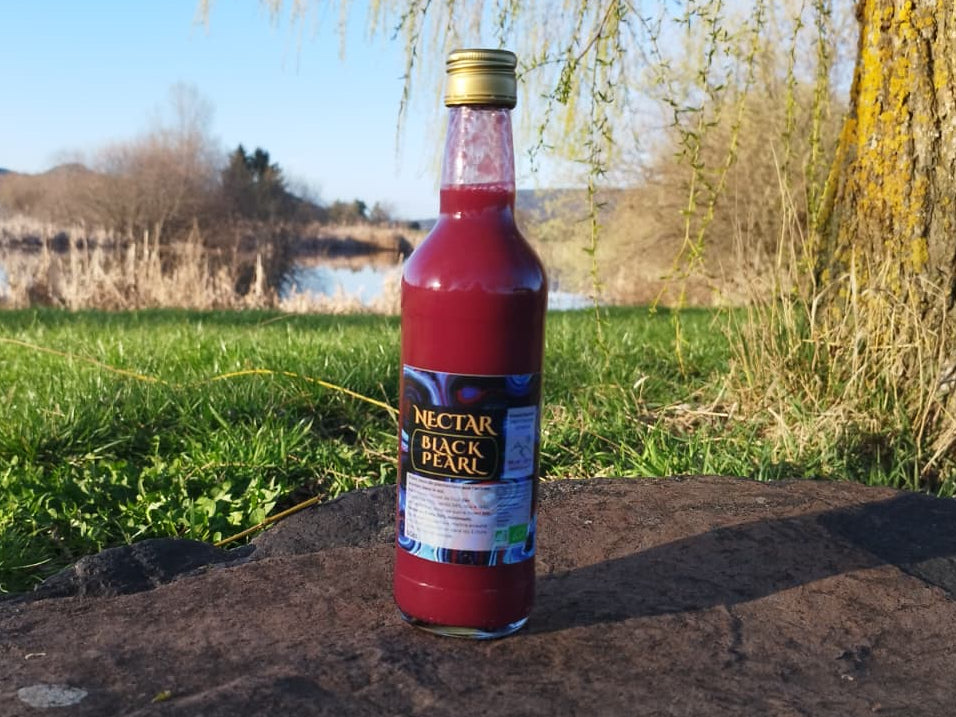 Nectar de cassis BLACK PEARL BIO